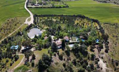 Residencia Las Brañas | Residencia Canina y Felina en Madrid